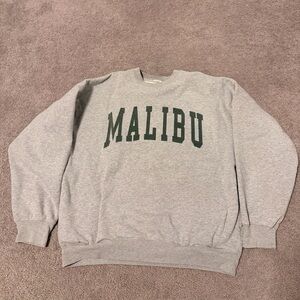 Brandy Melville Gray Crewneck Sweater with Green Malibu Print